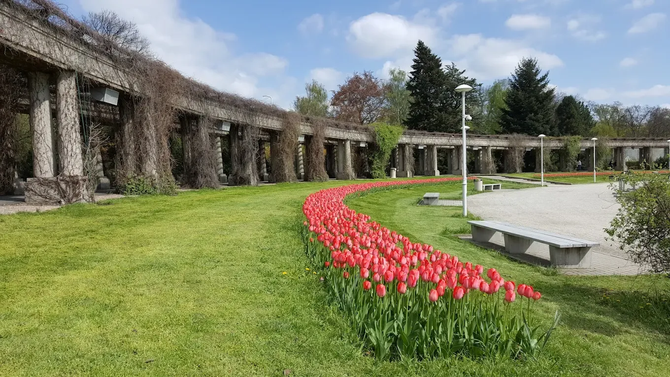 Park Szczytnicki we Wrocławiu